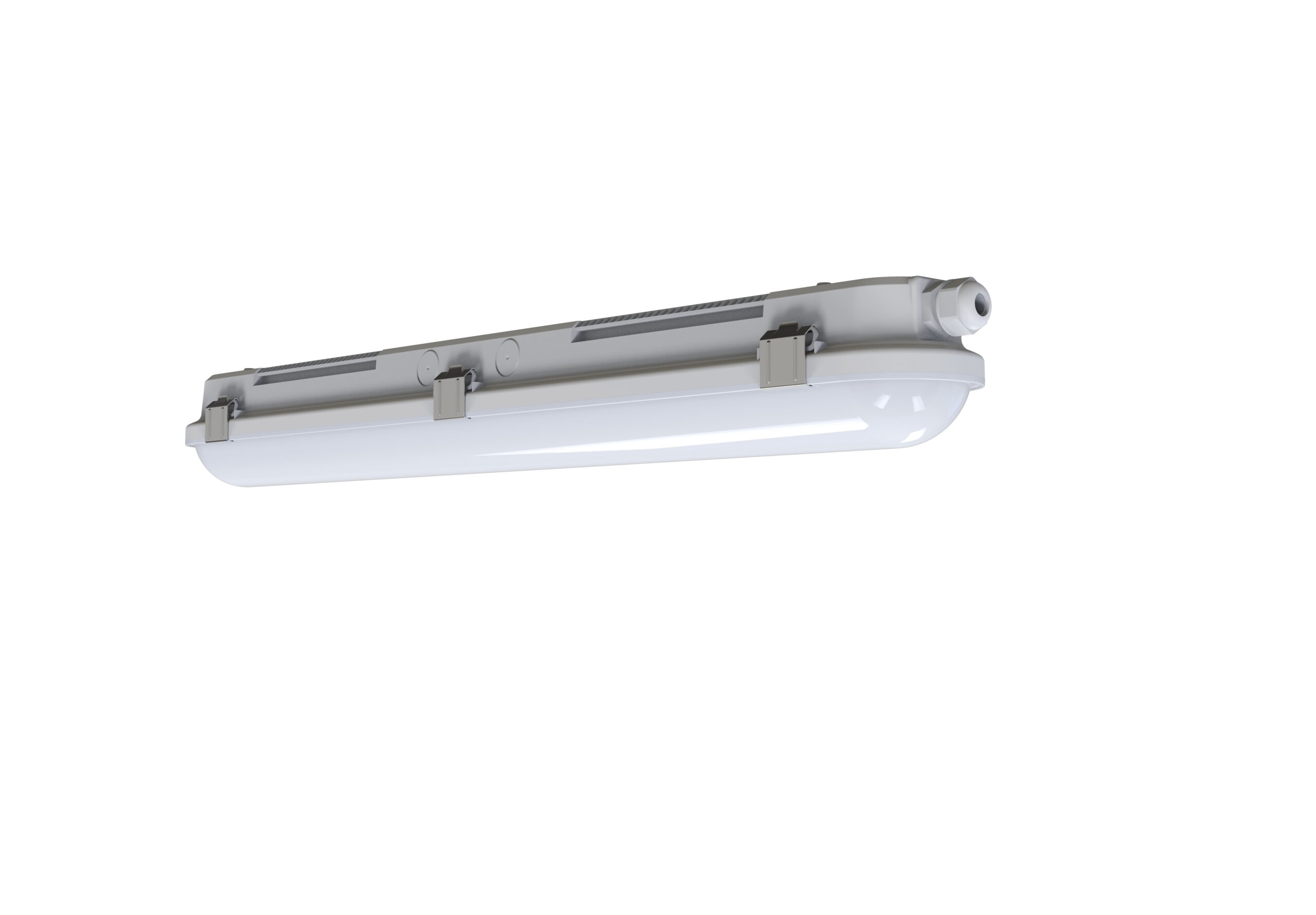 DAMP PROOF SELECTABLE 7Y